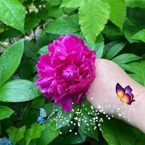 Meet your Posher, Judy